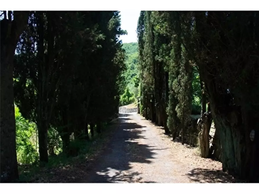 Immagine 5 di Villa in affitto  a Fiesole