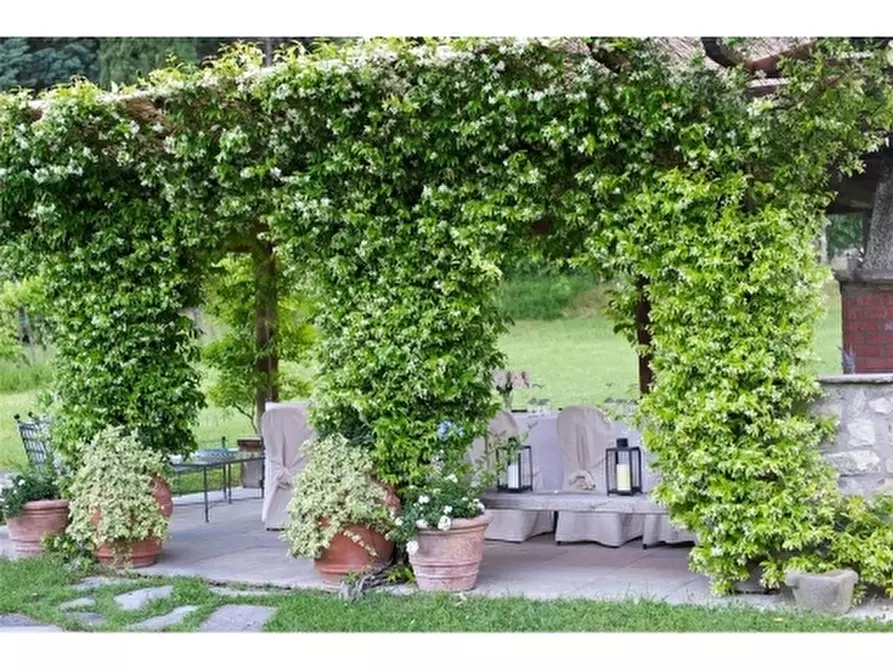 Immagine 16 di Villa in affitto  a Fiesole