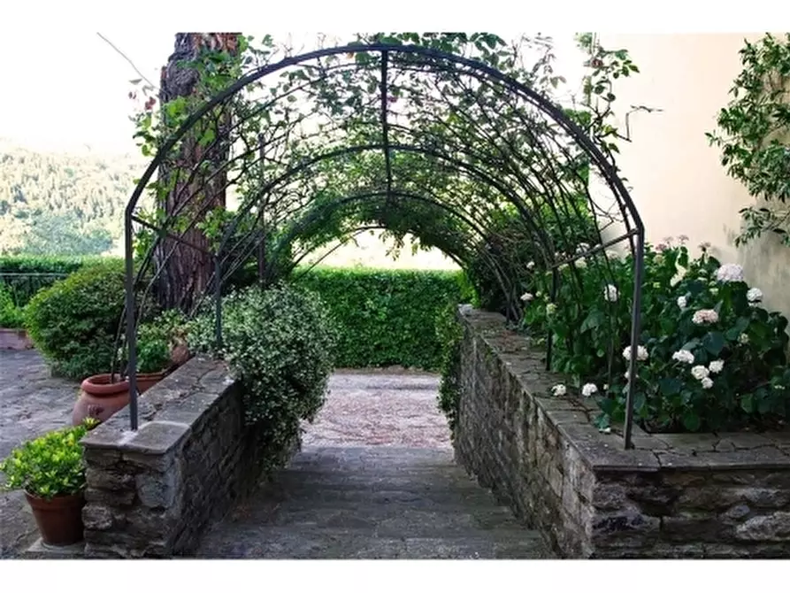 Immagine 19 di Villa in affitto  a Fiesole