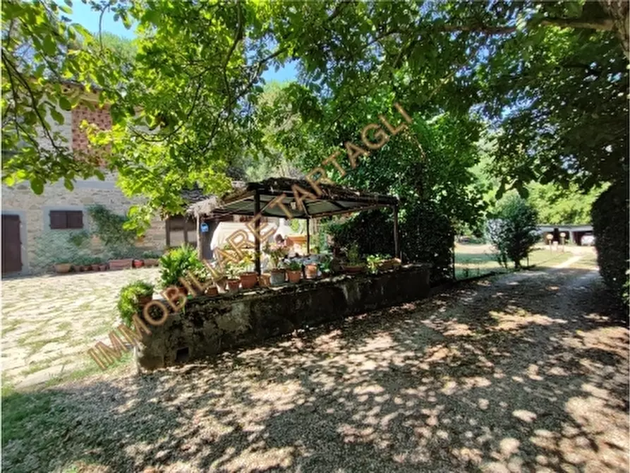 Immagine 22 di Rustico / casale in vendita  a Greve In Chianti
