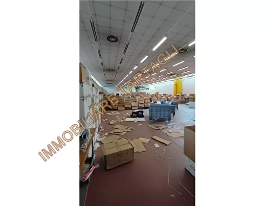 Immagine 5 di Magazzino in vendita  a Firenze