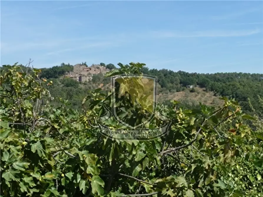 Immagine 11 di Appartamento in vendita  a Monticiano