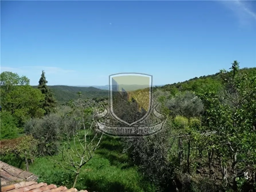 Immagine 9 di Appartamento in vendita  a Murlo