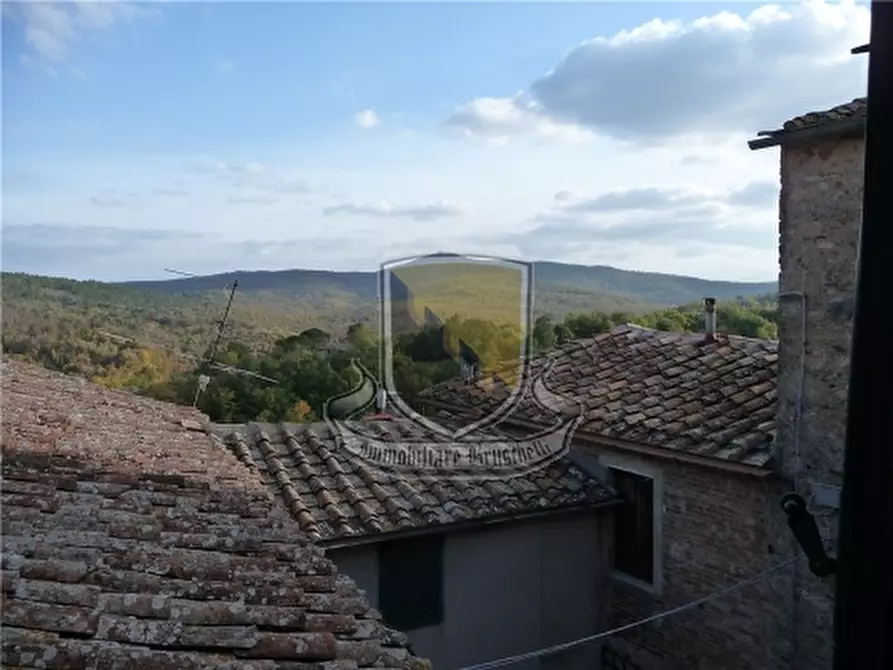 Immagine 7 di Appartamento in vendita  a Monticiano