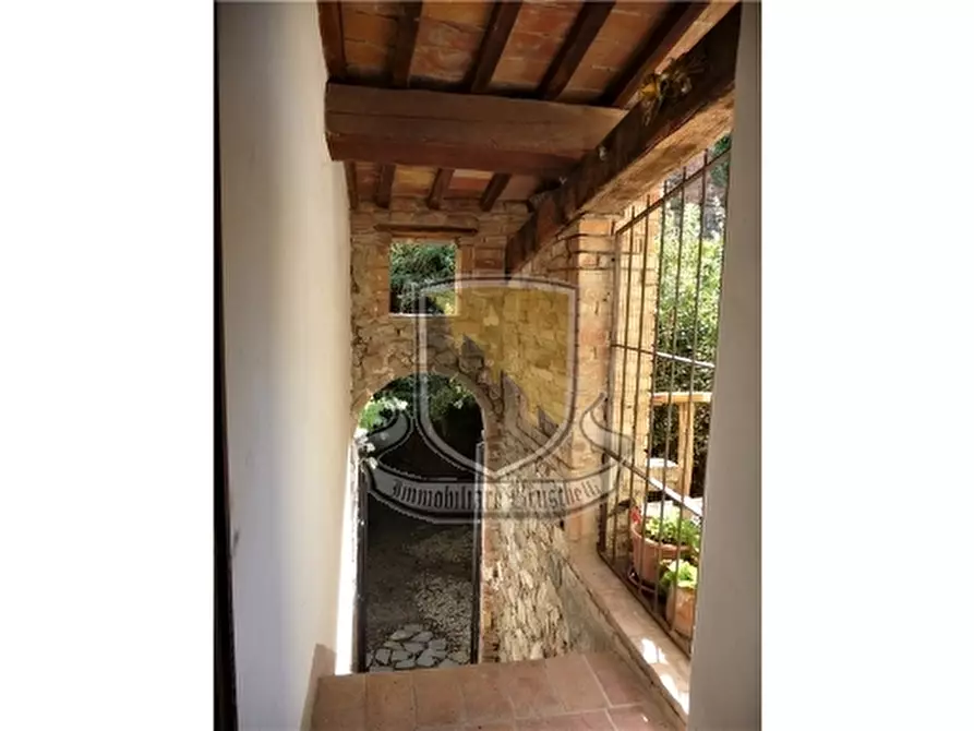 Immagine 22 di Appartamento in vendita  a Murlo