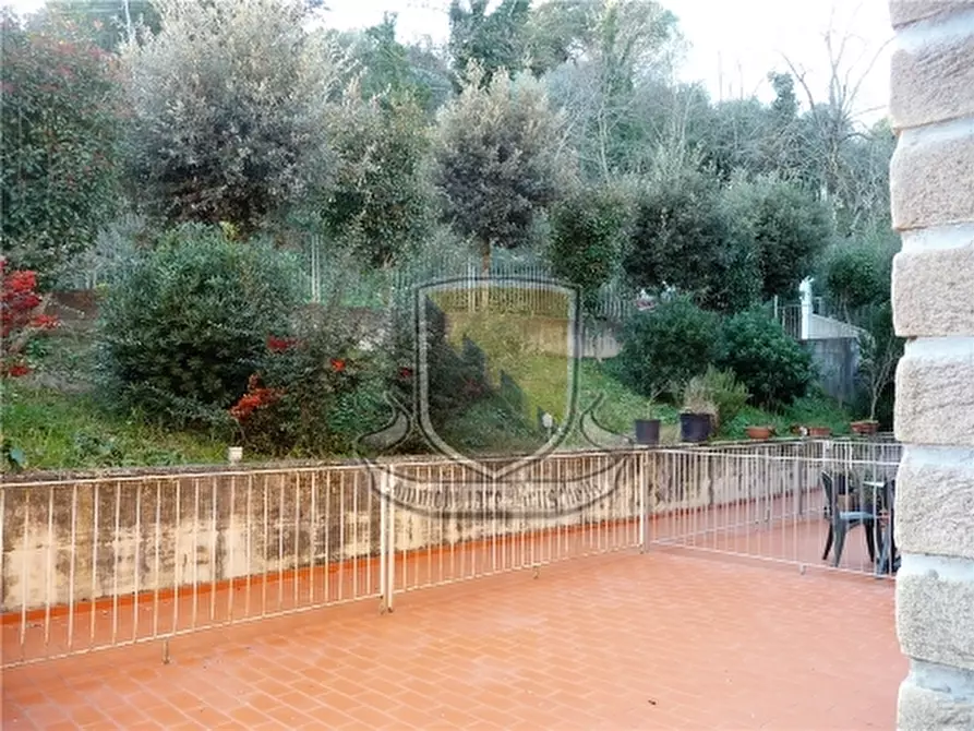 Immagine 7 di Appartamento in vendita  a Monticiano