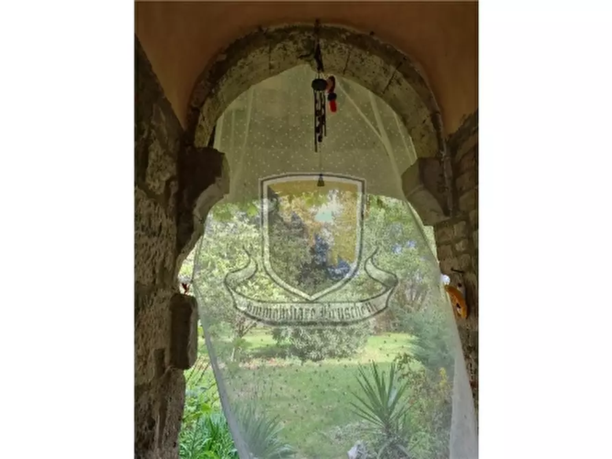 Immagine 2 di Appartamento in vendita  a Chiusdino