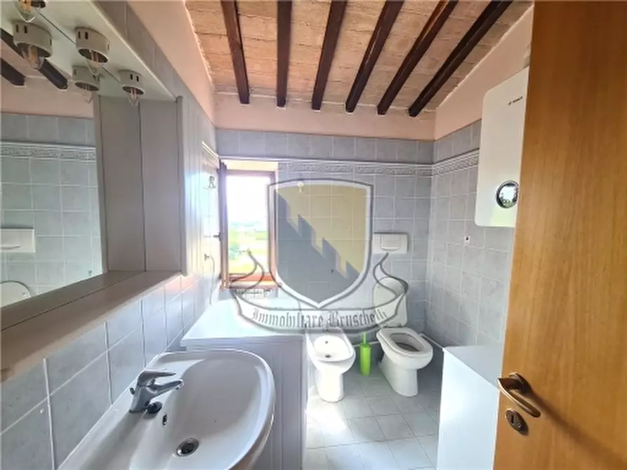 Immagine 13 di Appartamento in vendita  a Sovicille