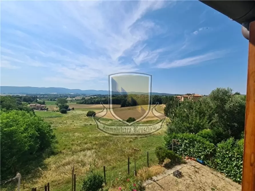 Immagine 18 di Appartamento in vendita  a Sovicille