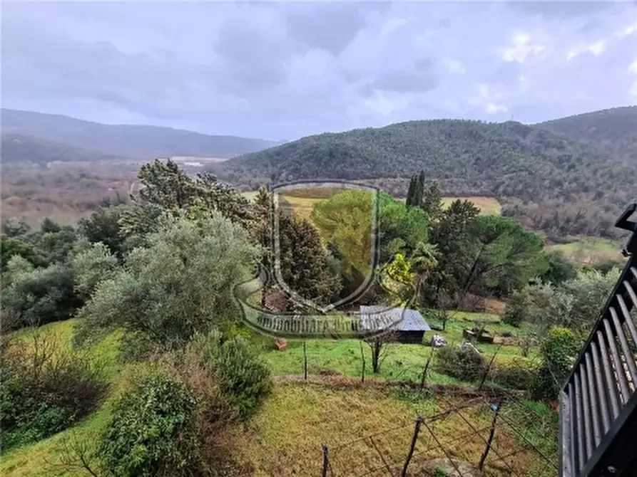 Immagine 17 di Appartamento in vendita  a Monticiano