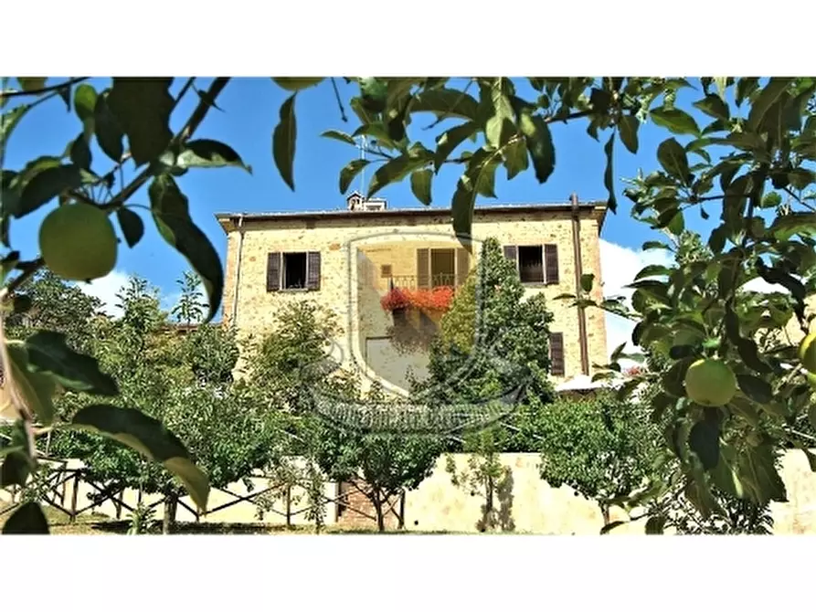 Immagine 2 di Villa in vendita  a Murlo