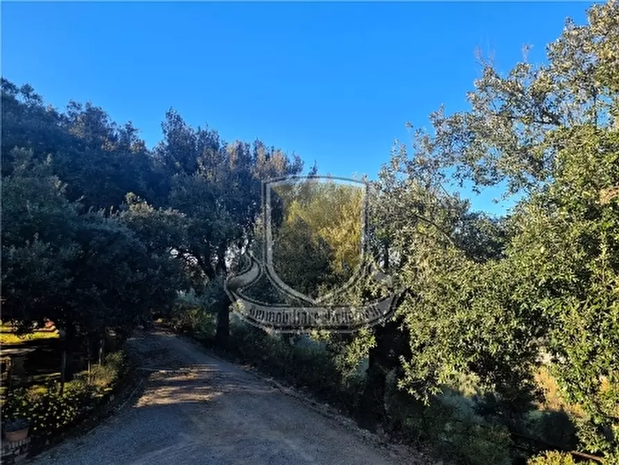 Immagine 46 di Villa in vendita  a Siena