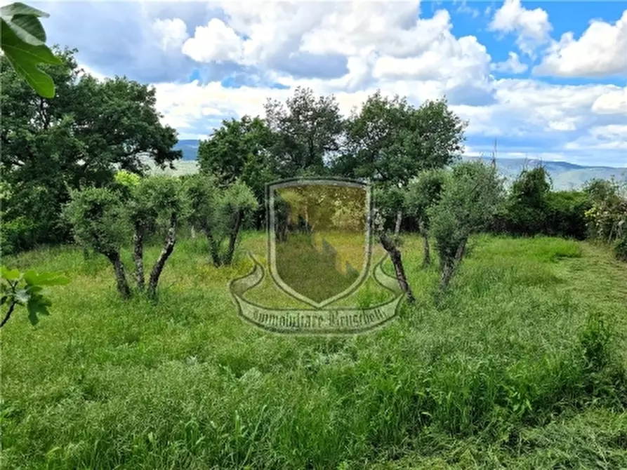 Immagine 22 di Villa in vendita  a Murlo