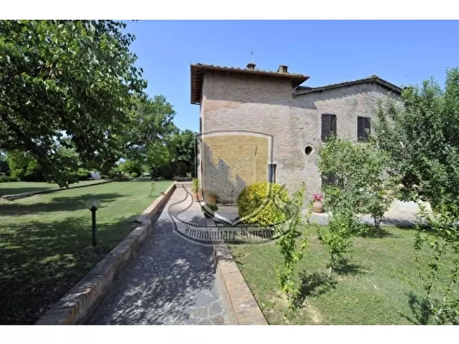 Immagine 3 di Villa in vendita  a Sovicille