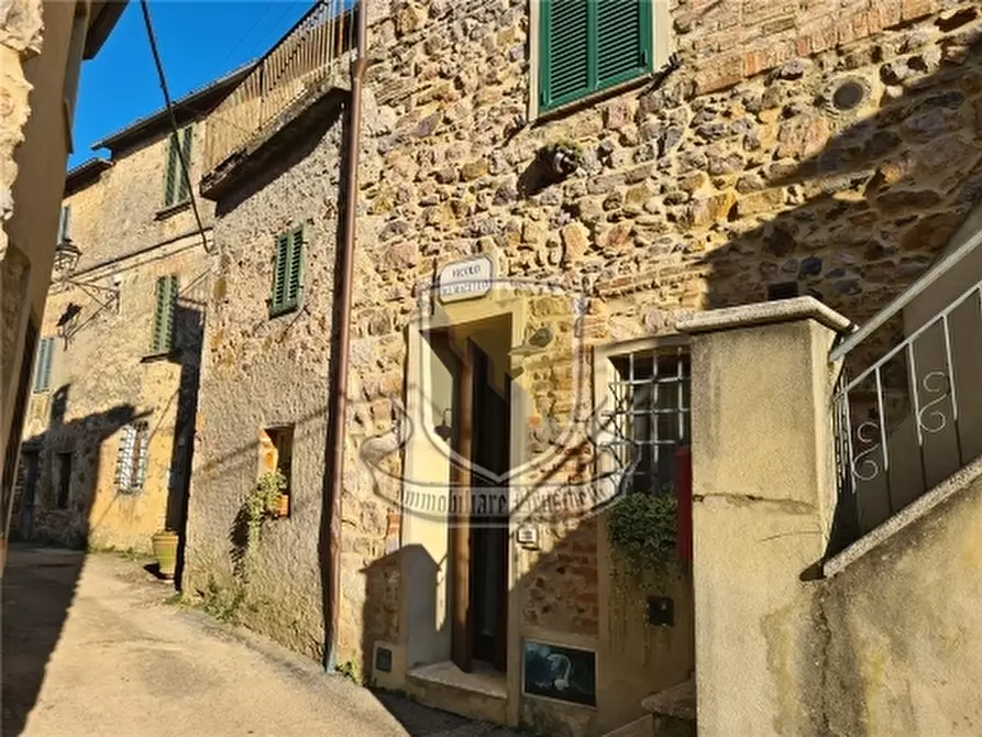 Immagine 1 di Villa in vendita  a Monticiano