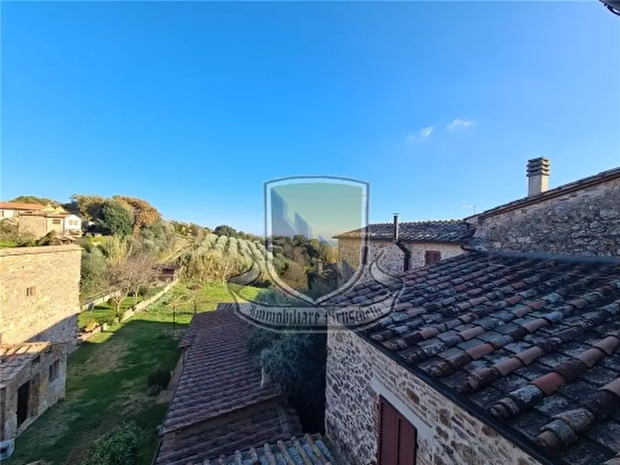 Immagine 18 di Villa in vendita  a Monticiano