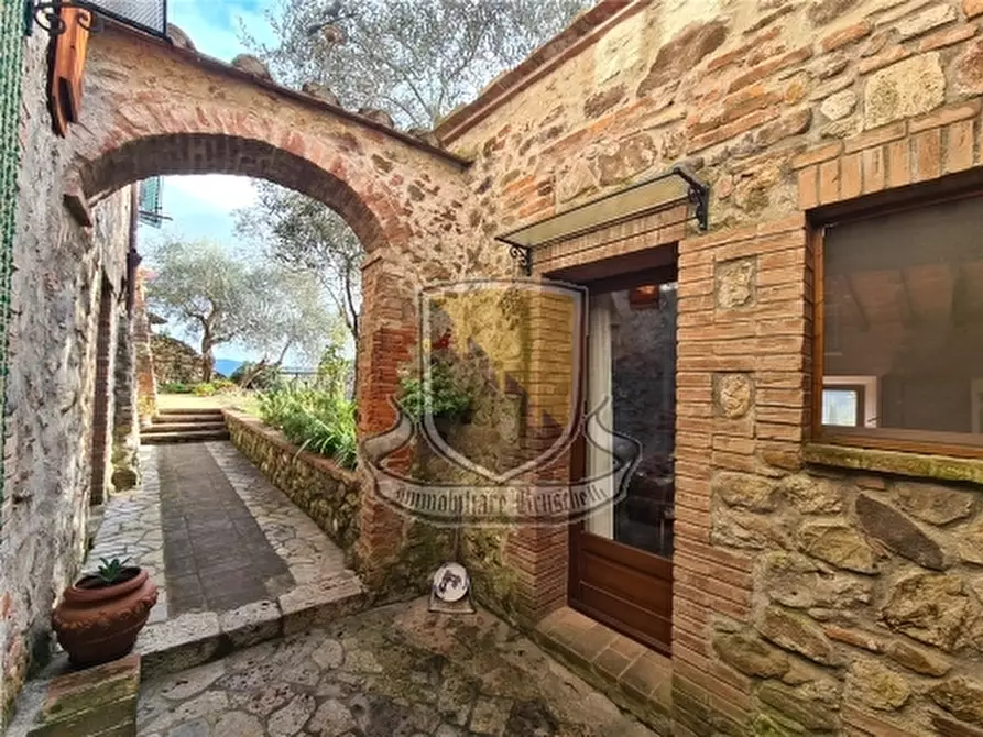 Immagine 30 di Villa in vendita  a Monticiano