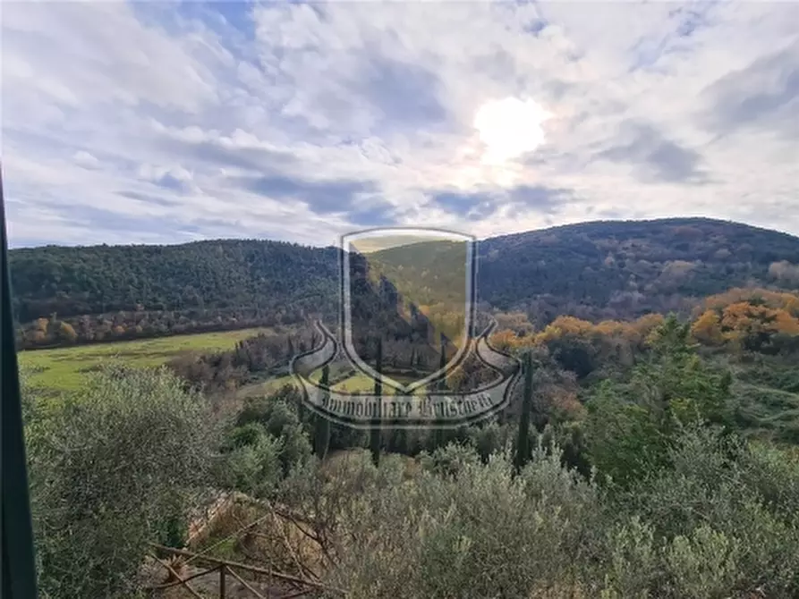 Immagine 44 di Villa in vendita  a Monticiano
