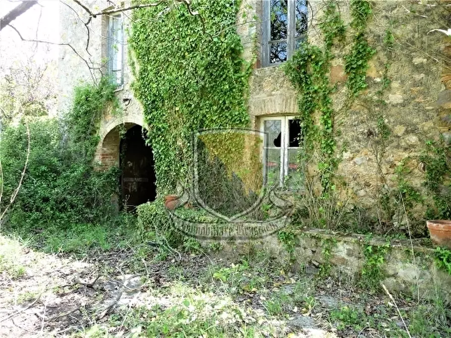 Immagine 24 di Rustico / casale in vendita  a Monticiano