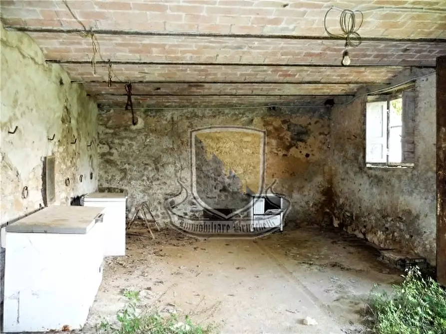 Immagine 25 di Rustico / casale in vendita  a Monticiano