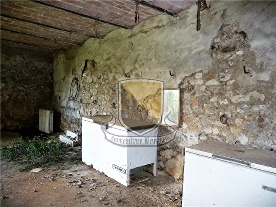 Immagine 26 di Rustico / casale in vendita  a Monticiano