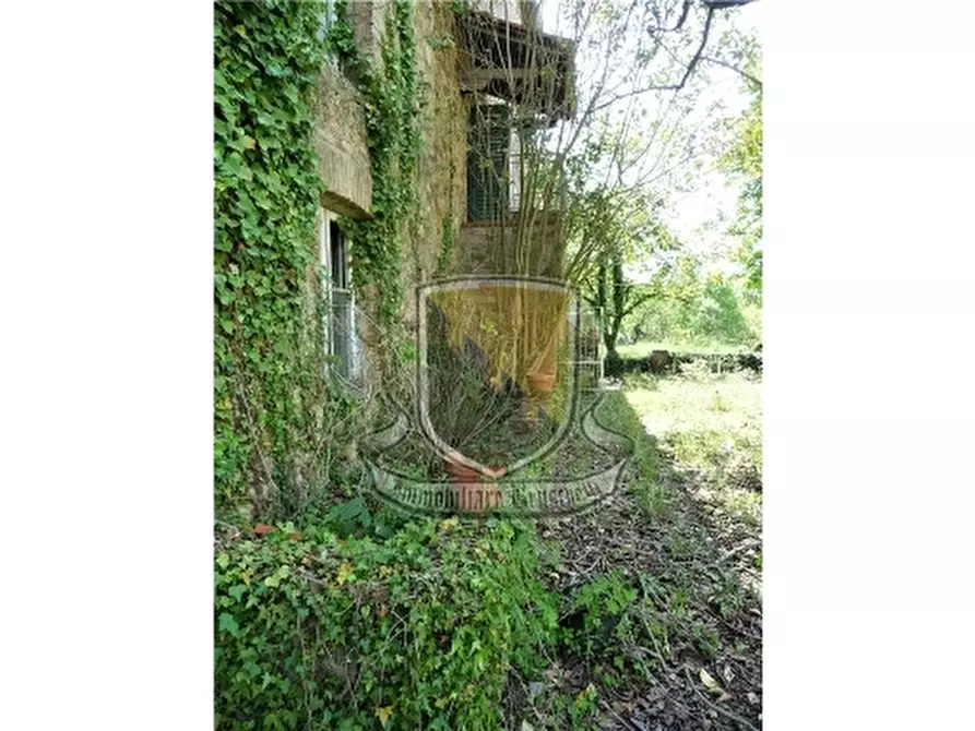 Immagine 29 di Rustico / casale in vendita  a Monticiano
