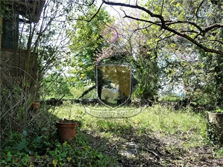 Immagine 31 di Rustico / casale in vendita  a Monticiano