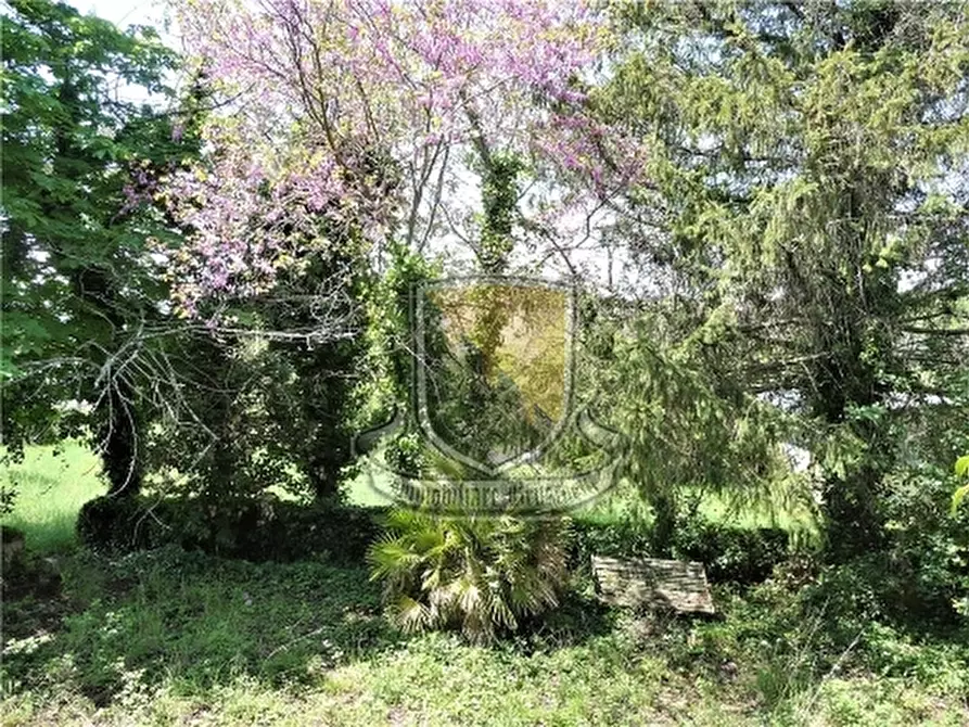 Immagine 33 di Rustico / casale in vendita  a Monticiano