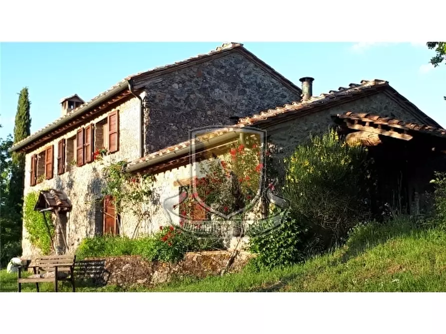 Immagine 2 di Rustico / casale in vendita  a Chiusdino