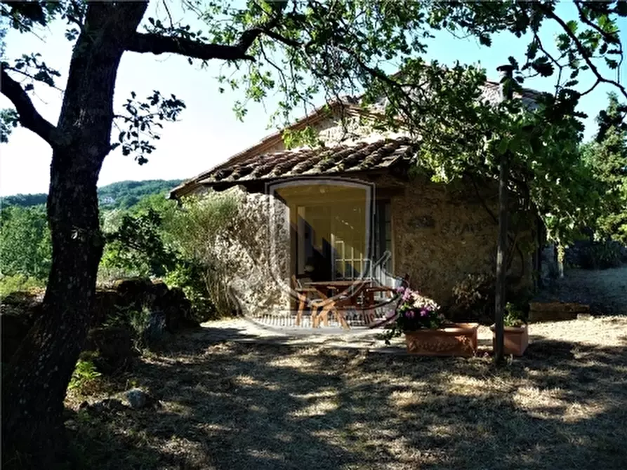 Immagine 4 di Rustico / casale in vendita  a Chiusdino