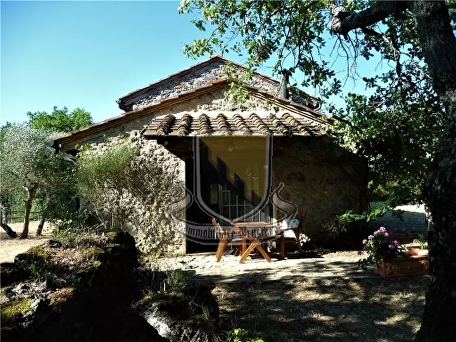 Immagine 5 di Rustico / casale in vendita  a Chiusdino