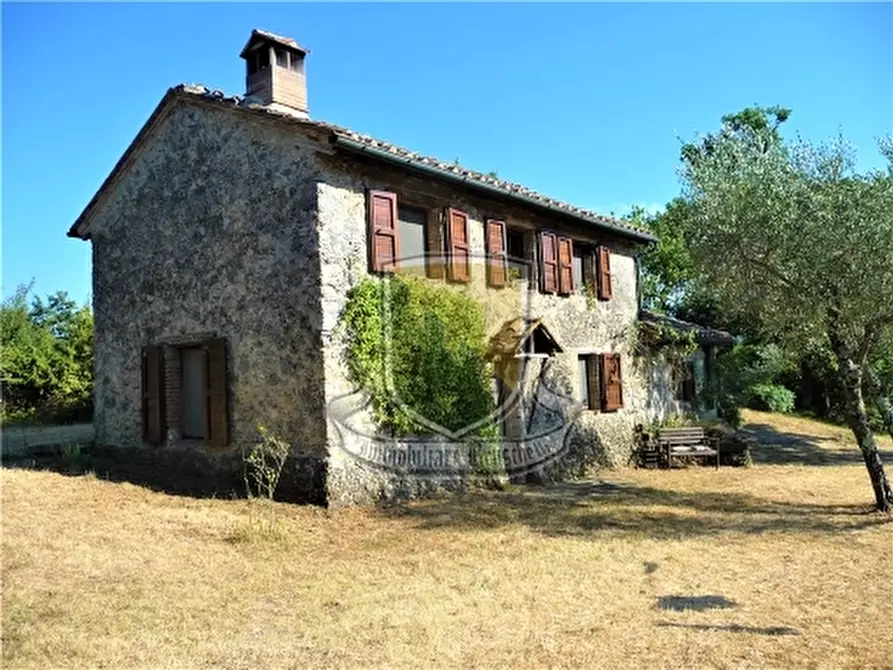 Immagine 7 di Rustico / casale in vendita  a Chiusdino