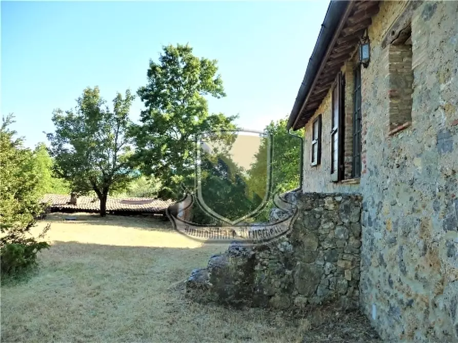 Immagine 11 di Rustico / casale in vendita  a Chiusdino