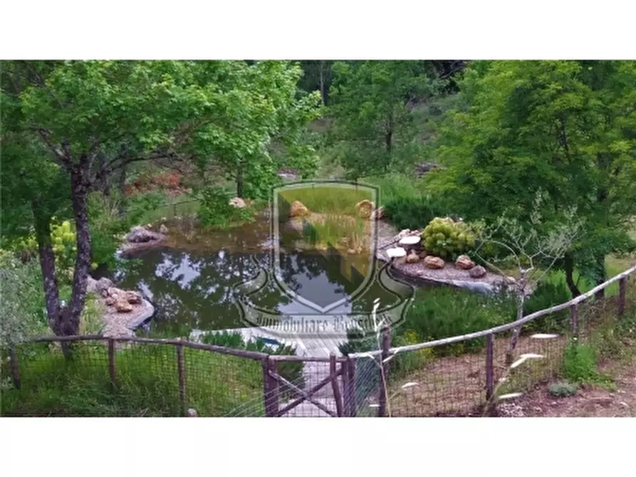 Immagine 19 di Rustico / casale in vendita  a Chiusdino