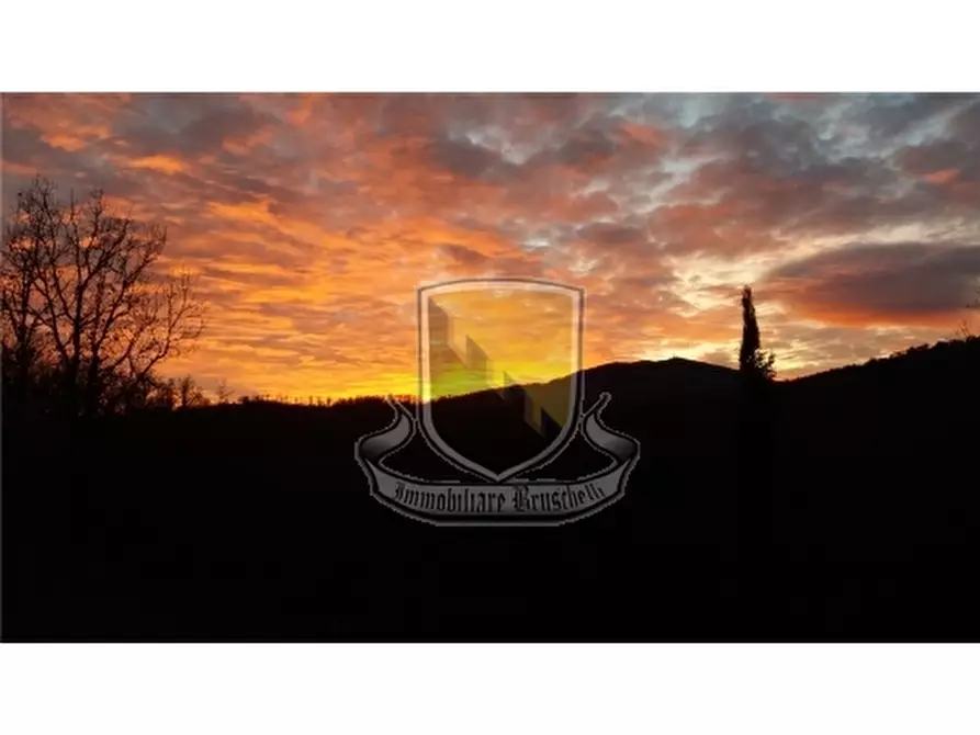 Immagine 21 di Rustico / casale in vendita  a Chiusdino