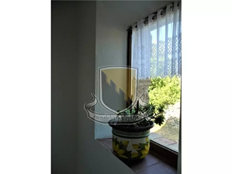 Immagine 53 di Rustico / casale in vendita  a Chiusdino