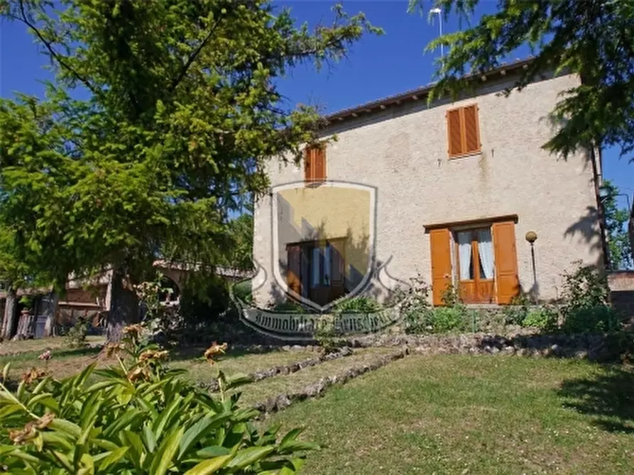 Immagine 3 di Rustico / casale in vendita  a Siena