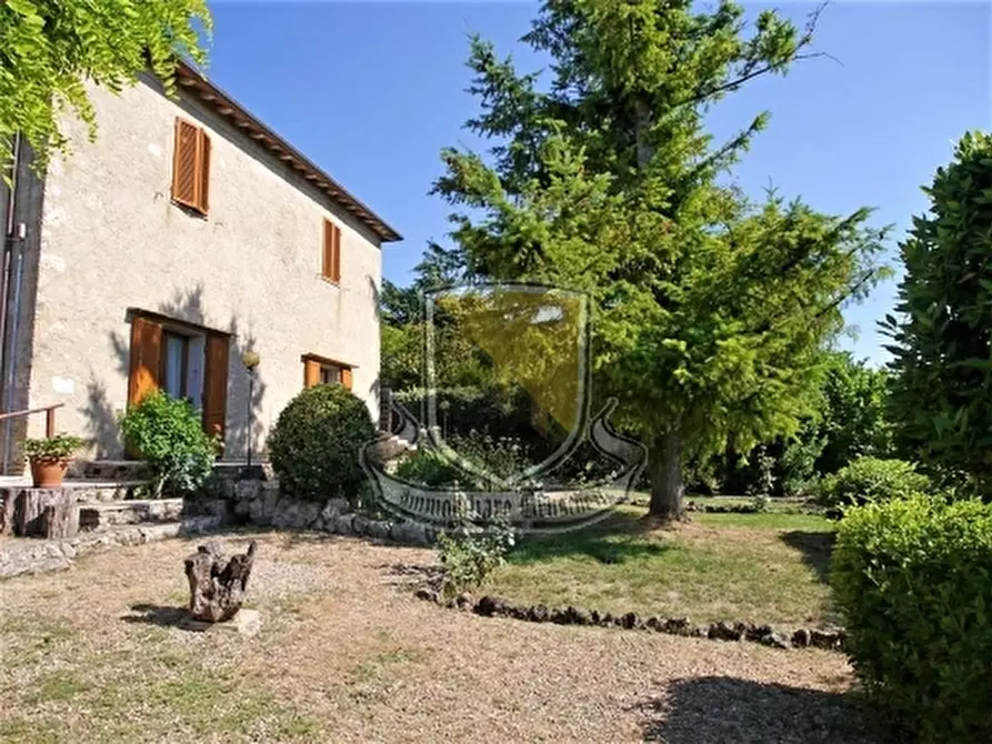 Immagine 4 di Rustico / casale in vendita  a Siena