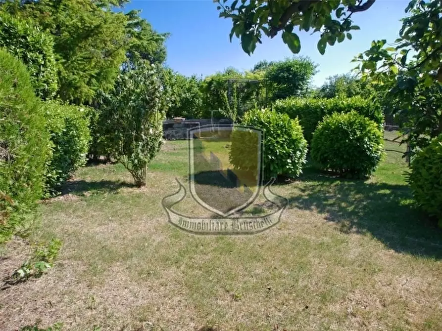 Immagine 6 di Rustico / casale in vendita  a Siena