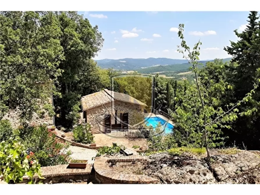 Immagine 2 di Rustico / casale in vendita  a Casole D'elsa