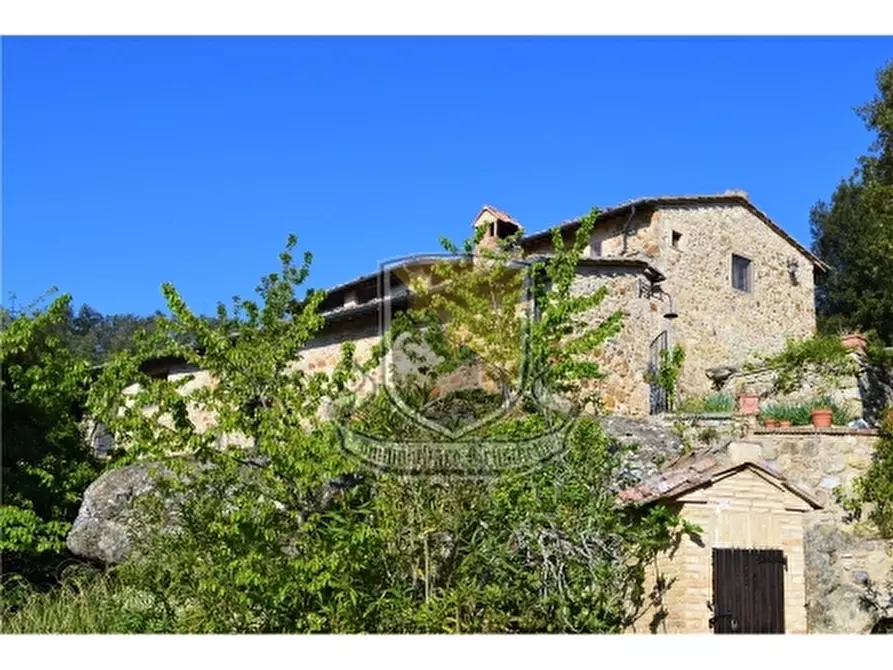 Immagine 6 di Rustico / casale in vendita  a Casole D'elsa