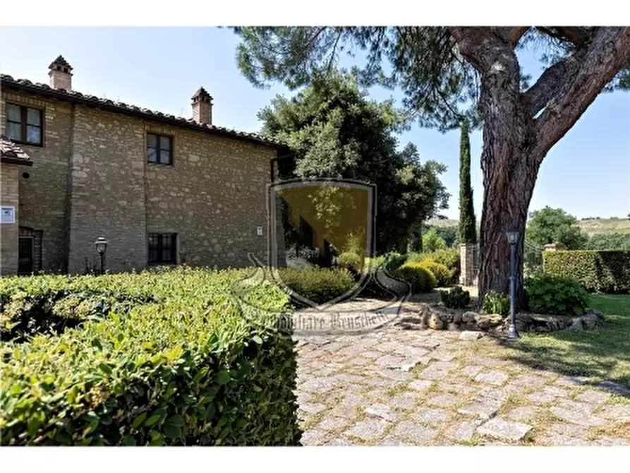 Immagine 2 di Rustico / casale in vendita  a San Gimignano