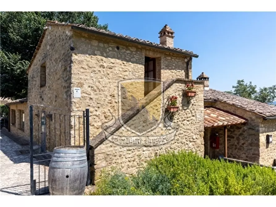 Immagine 6 di Rustico / casale in vendita  a San Gimignano
