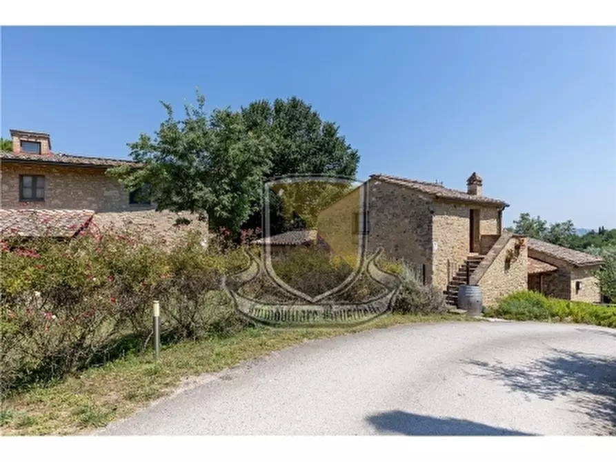 Immagine 7 di Rustico / casale in vendita  a San Gimignano