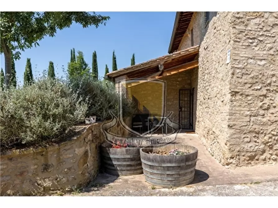 Immagine 8 di Rustico / casale in vendita  a San Gimignano