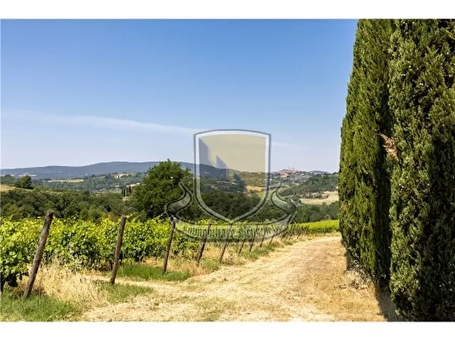 Immagine 9 di Rustico / casale in vendita  a San Gimignano