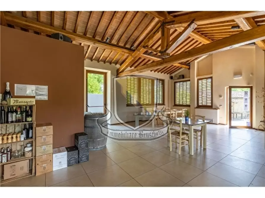 Immagine 28 di Rustico / casale in vendita  a San Gimignano