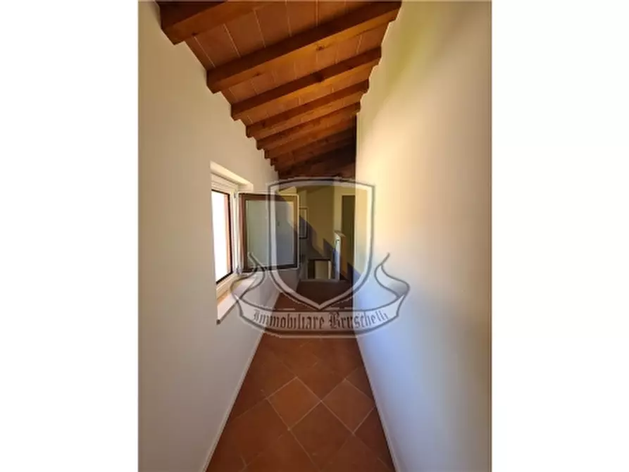 Immagine 5 di Rustico / casale in vendita  a Sovicille