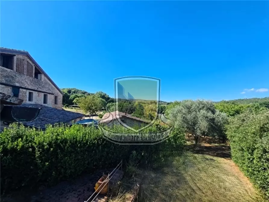 Immagine 45 di Rustico / casale in vendita  a Sovicille