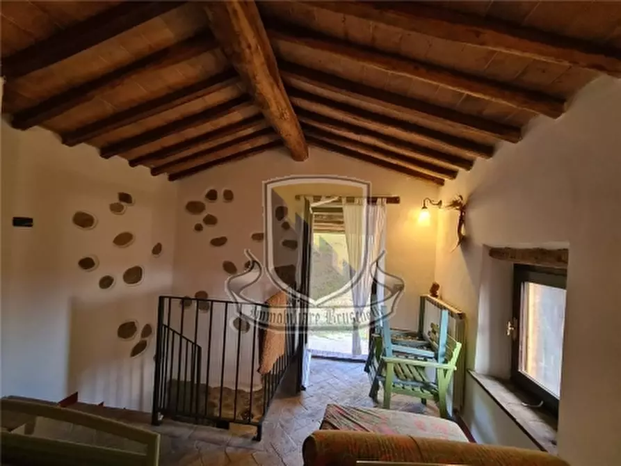Immagine 12 di Rustico / casale in vendita  a Chiusdino